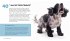 Dog Body Language - Bild 5