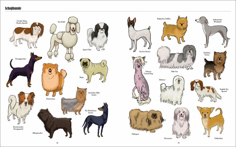D-Mail Leiter mit Hundehütte für kleine Hunde 