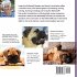 Everyone's Guide to the Bullmastiff - Bild 2