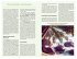 DuMont Reise-Handbuch Reiseführer... - Bild 4