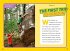 National Geographic Kids Chapters: Rock... - Bild 2
