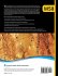 M58 Internal Corrosion Control in Water... - Bild 2