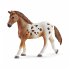 Schleich 42433 - Horse Club Lisas... - Bild 5
