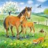 Ravensburger Kinderpuzzle - 08029... - Bild 3