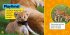 Explore My World: Lions - Bild 2