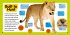 Explore My World: Lions - Bild 3