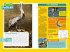 National Geographic Kids Bird Guide of... - Bild 5