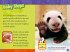Pandas - Bild 3