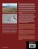 Megaflooding on Earth and Mars - Bild 2