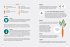 Gemüse-Know-how - Bild 6