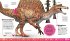 Dino-Parade von A bis Z - Bild 8
