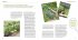 Selbstversorger Basics - Bild 4