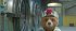 Paddington 2 - Bild 7