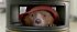 Paddington 2 - Bild 8