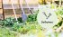 Mein Biogemüse-Garten - Bild 4