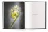 A Tribute to FLOWERS - Bild 3