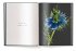 A Tribute to FLOWERS - Bild 6