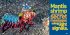 Weird But True 8: Expanded Edition - Bild 4