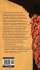50 Things to See and Do in Northern New... - Bild 2