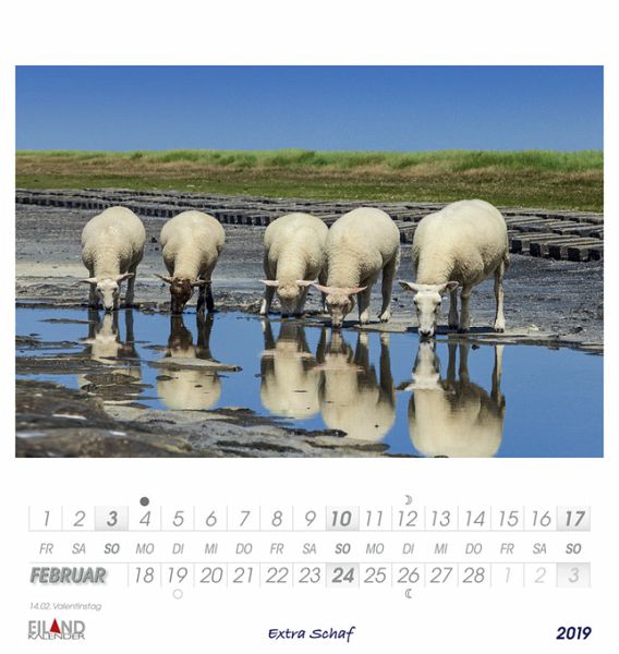 Extra Schaf Kalender 2019 PDF