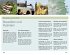 DuMont Reise-Taschenbuch Reiseführer... - Bild 8