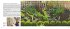My Tiny Veg Plot - Bild 6