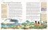 Die große illustrierte Kinderbibel - Bild 3