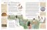 Die große illustrierte Kinderbibel - Bild 6