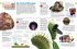Chemische Elemente / memo - Wissen... - Bild 8