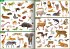 Tiere unserer Erde - Bild 3