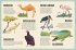 Mein großer Atlas der Tiere - Bild 2