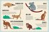 Mein großer Atlas der Tiere - Bild 5