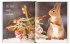 Weihnachten bei den Eichhörnchen - Bild 3