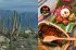 Taco Tales: Recipe and Stories from... - Bild 4