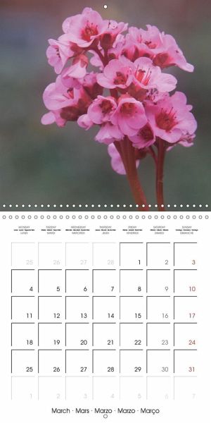 Le Charme De La Nature Calendrier Mural 2019 300 300 Mm Square - 