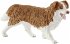 Schleich 42458 - Horse Club, Hannahs... - Bild 4
