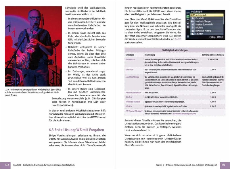Nikon D3500 Für bessere Fotos von Anfang an Das ufangreiche Praxisbuch
PDF Epub-Ebook