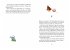Die Wilden Hühner und das Glück der... - Bild 4