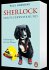 Sherlock, der Feuerwehrhund - Bild 2