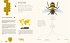 Die Welt der Bienen - Bild 3