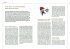 Komm, wir feiern! Kitafeste von Juli... - Bild 5