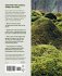 Moss - Bild 2