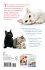 The Happy Cat Handbook - Bild 2