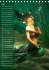 Magische Meerjungfrauen (Tischkalender... - Bild 5