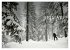 In der Natur zu Hause - Bild 7