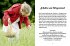 Das kleine Buch: Kräuterwanderung mit... - Bild 5