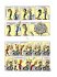 Kreatives Chaos / Gaston Neuedition Bd.4 - Bild 3
