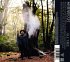 All Tree - Bild 2