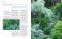 Ganzjährig attraktive Beete mit Blatt... - Bild 7