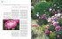Ganzjährig attraktive Beete mit Blatt... - Bild 10